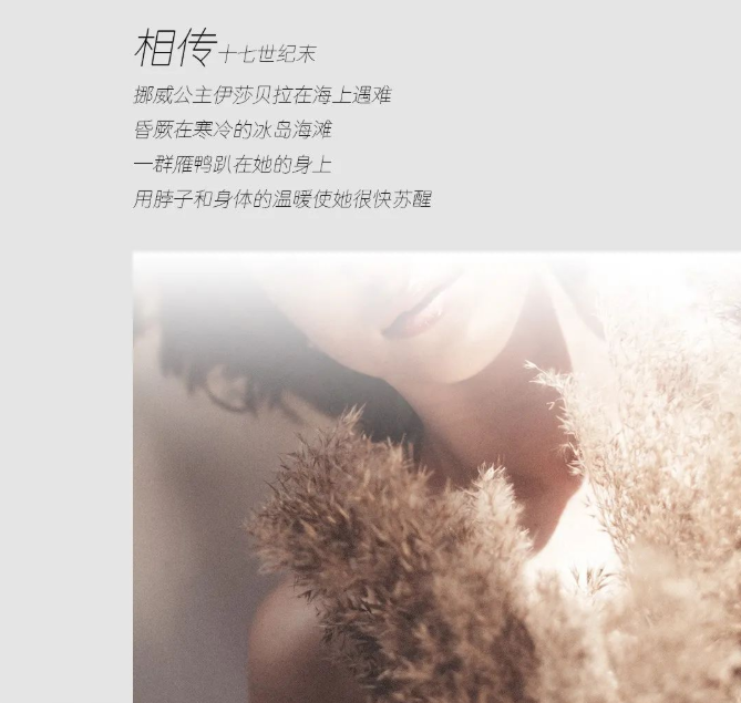 尋跡冰島，從‘絨’中發現自在巖感！